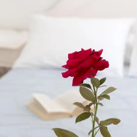 Hotel Areti 3*
